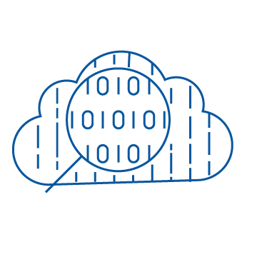 Our online data management portal with interactive display features.